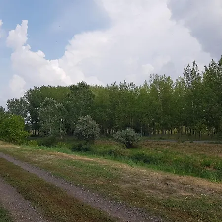 Zoeldportal Vendeghaz Tiszanana -dinnyeshat *